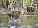 ClapperRailP1050753